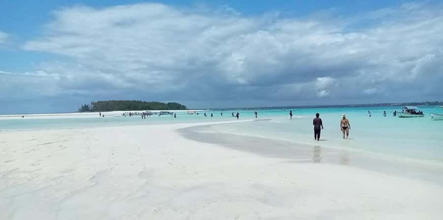 FROM NUNGWI; MNEMBA SNORKELING AND DOLPHIN TOUR - Who should book this Mnemba snorkeling and dolphin tour
