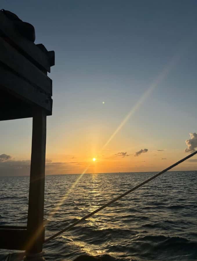 FROM NUNGWI; SUNSET DHOW CRUISE EXPERIENCE - Who this sunset dhow cruise is best for