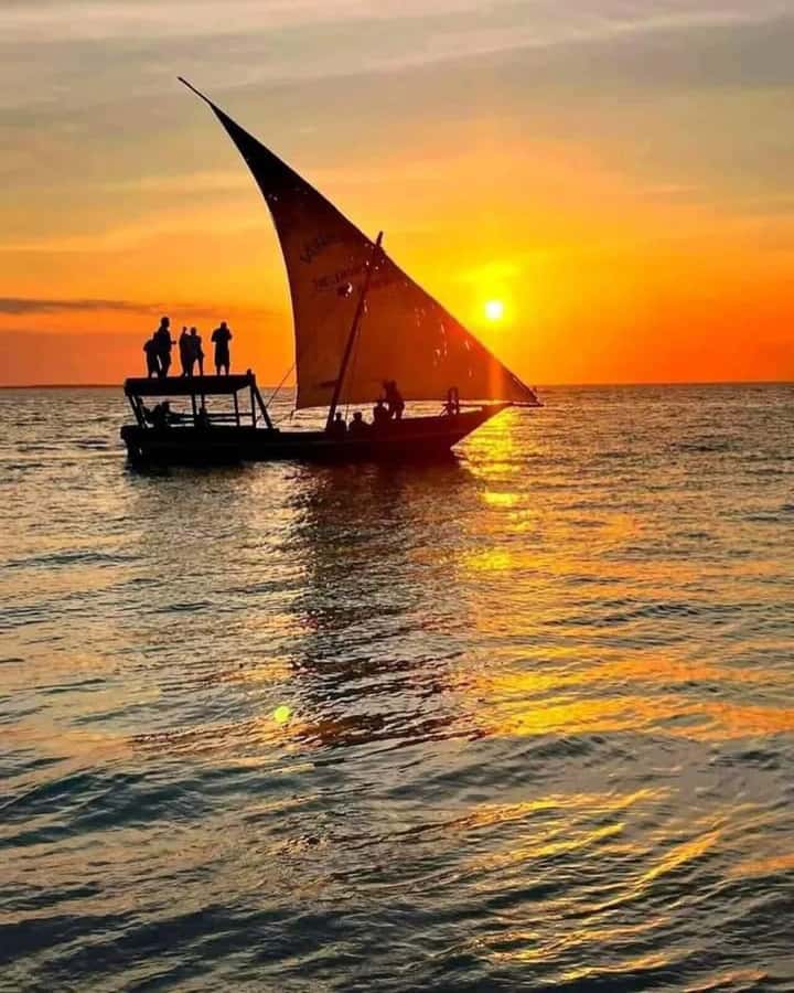 From Nungwi: Sunset Dhow Cruises - Key highlights I think are worth your time