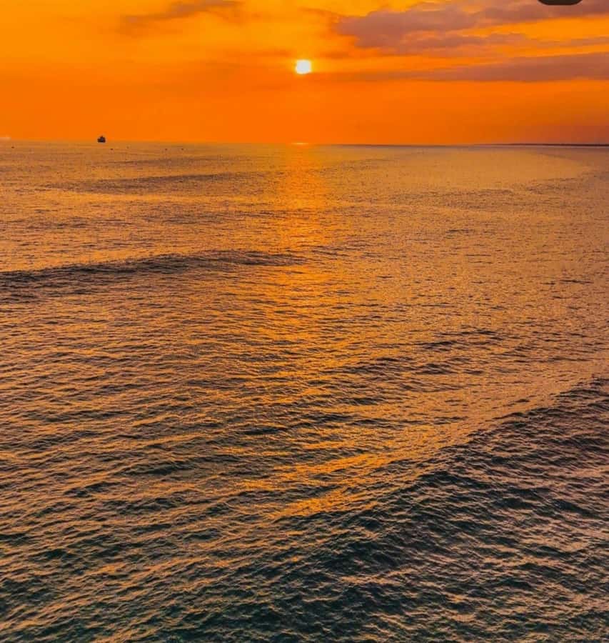 From Nungwi: Sunset Dhow Cruises - The sunset factor: what makes the sailing feel worth it