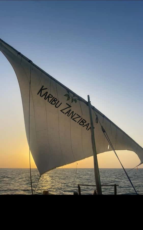 From Nungwi: Sunset Dhow Cruises - What you actually do during the 3 hours (no fluff)