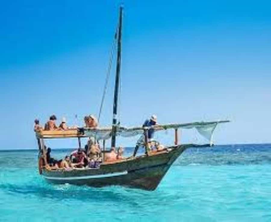 From Paje/Jambian: Safari Blue Snorkelling with Lunch - Key things to know before you go