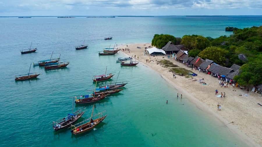 From Paje/Jambian: Safari Blue Snorkelling with Lunch - From Paje/Jambian to Fumba: the 08:00 pickup and dhow rhythm