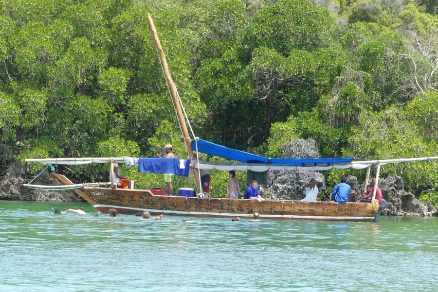 From Stone Town: Sandbank picnic with sea food BBQ Lunch - Price and Value for a 6-Hour Private Dhow Day