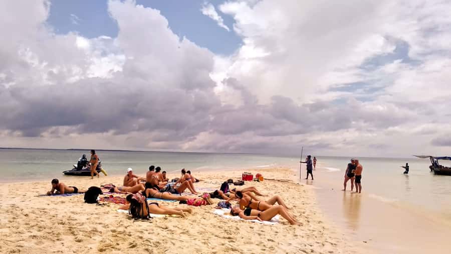 From Stone Town: Sandbank picnic with sea food BBQ Lunch - Kwale Coral Reef Snorkel Stop: More Than Just a Swim Break
