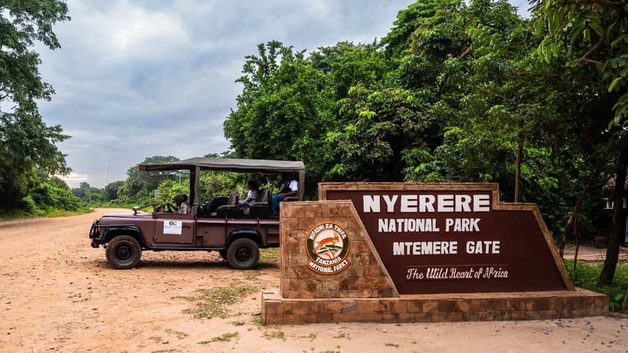 From Zanzibar: 2 Days 1 Night Selous GR Safari with Flights - The Rufiji River boat safari option: hippos, crocodiles, and birds