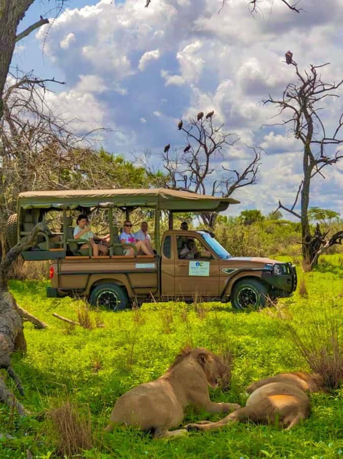 From Zanzibar: 2 Days 1 Night Selous GR Safari with Flights - Who this 2-day safari fits, and who should skip it