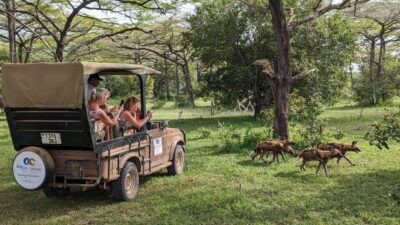 3-Day Selous Safari Trip with Flights