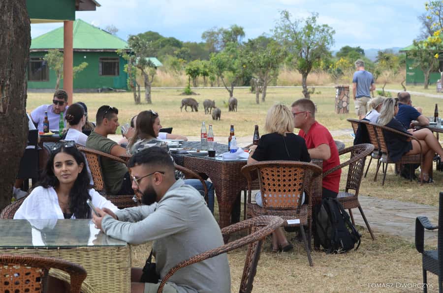 From Zanzibar: day Safari to Mikumi National Park - Key Things That Make This Mikumi Day Safari Work