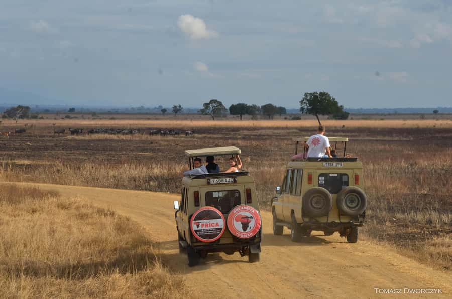 From Zanzibar: day Safari to Mikumi National Park - Flying From Zanzibar To Mikumi: The Fast Track Safari