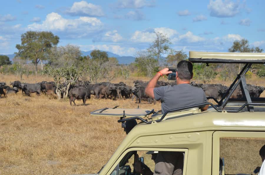 From Zanzibar: day Safari to Mikumi National Park - On Arrival at Mikumi Airstrip: Briefing and Hitting the Road