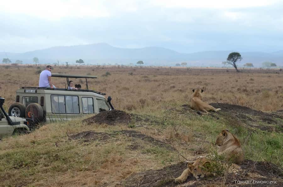 From Zanzibar: day Safari to Mikumi National Park - The Very Early Start: 4 a.m. Pickup and the 6 a.m. Flight