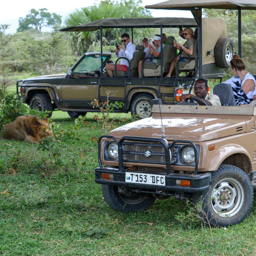 From Zanzibar: Day Selous Game Reserve Safari with Flights - Bush Lunch at 13:00: Why This Stop Feels Like Part of the Safari