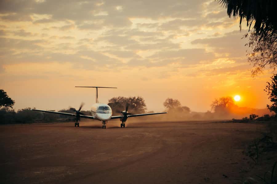 From Zanzibar: Day Selous Game Reserve Safari with Flights - Big Wildlife Odds in Selous and Nyerere, Plus the Leopard Reality