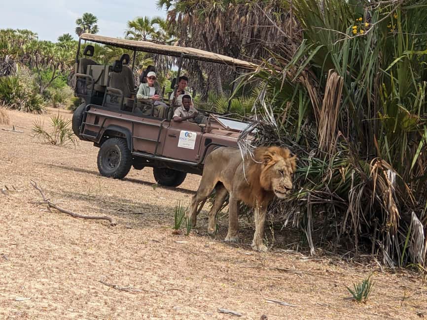 From Zanzibar: Mikumi Day Safari without hotel pickup - The 5:00am meeting at Terminal 2, Jahazi Cafe, and your early departure
