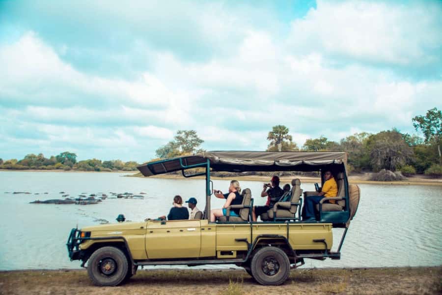 From Zanzibar: Mikumi Day Trip Safari By Flight. - Landing at Mikumi: What You Can Expect to See
