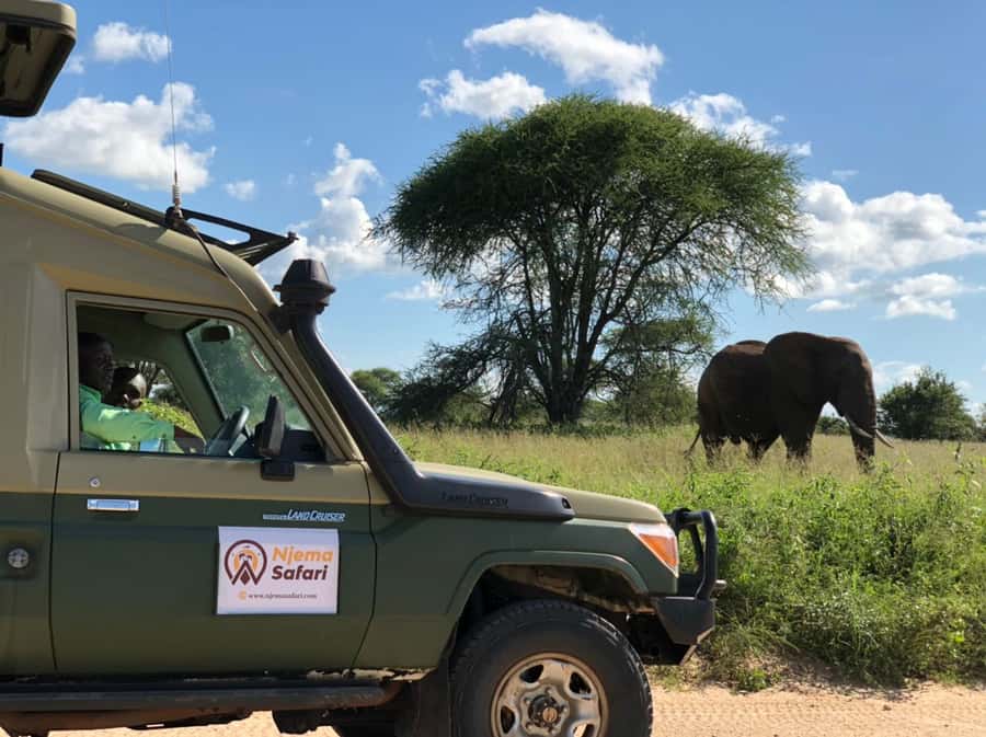 From Zanzibar: Mikumi National Park Guided Safari - Into the park: what the guided 4x4 game drive is like