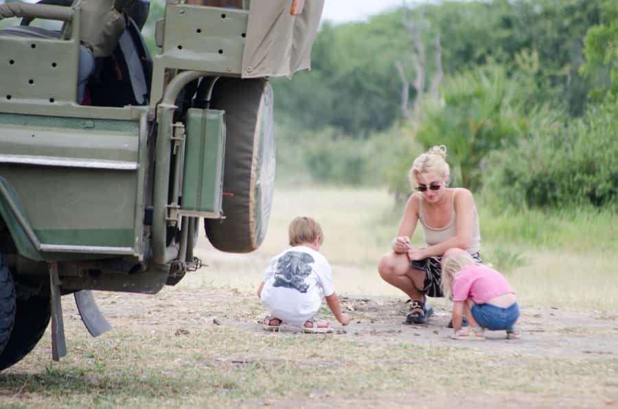 From Zanzibar: Mikumi National Park Guided Safari - Wildlife viewing gets easier when you think like a predator