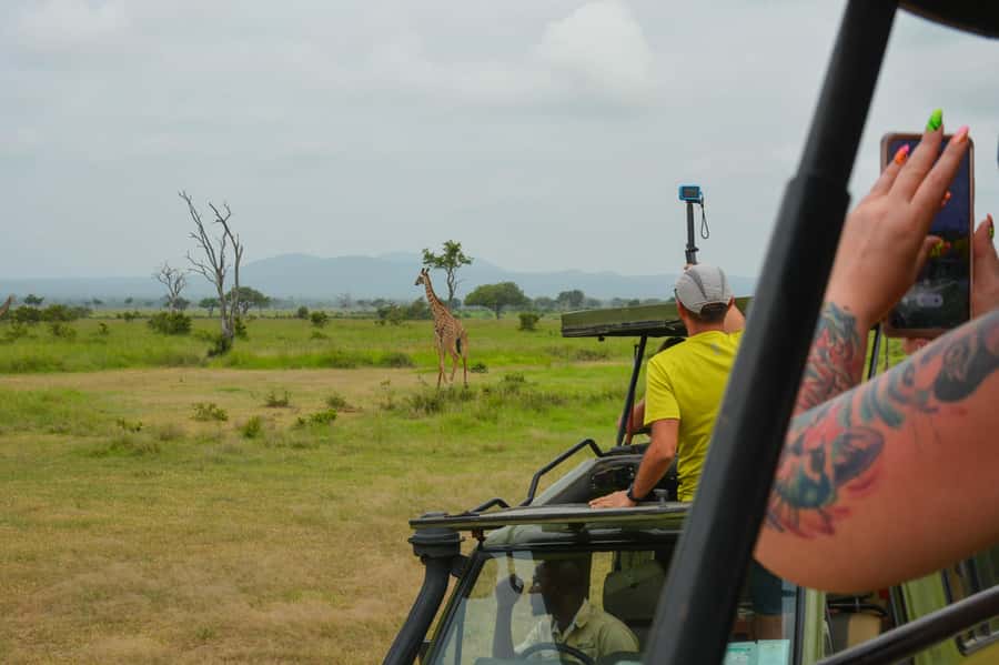 From Zanzibar: Mikumi National Park Guided Safari - Lunch in the bush: simple, timed, and actually useful