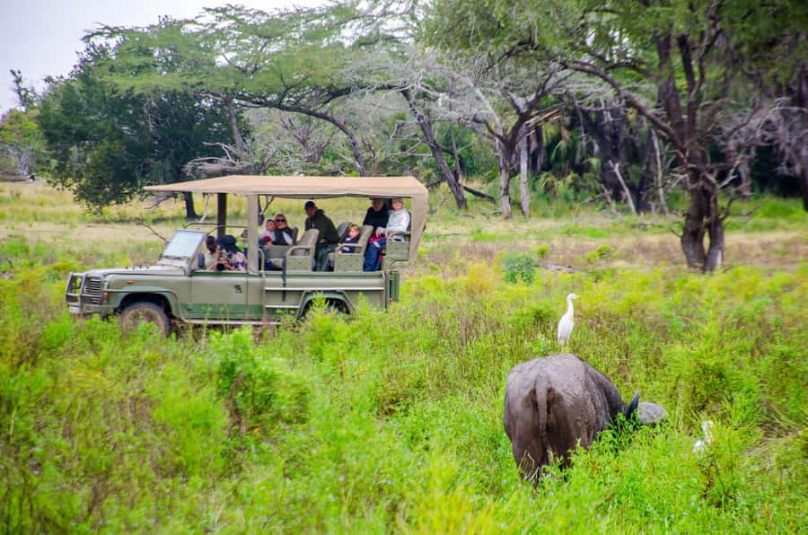 From Zanzibar: Mikumi National Park Guided Safari - Who this trip suits best (and who might skip it)