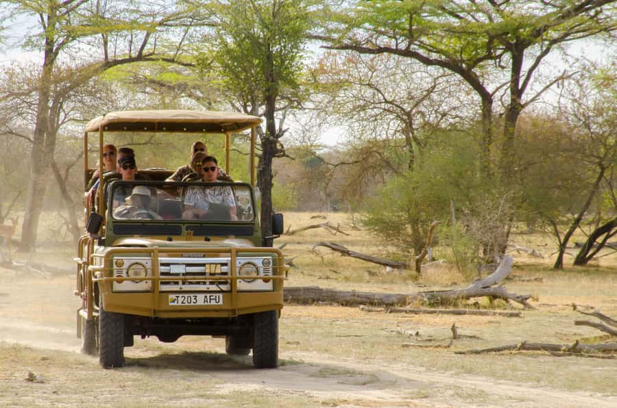 From Zanzibar: Mikumi National Park Guided Safari - Practical tips that make a difference on safari day
