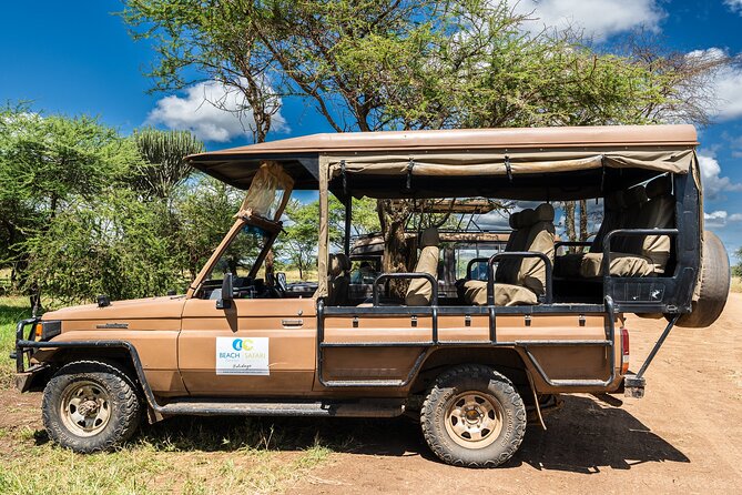 From Zanzibar: Mikumi Safari Day Trip with Flights and Meal - Return to Zanzibar: smooth when it clicks, chaotic when it doesn’t