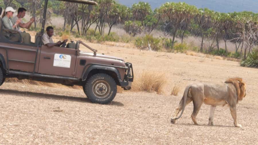 From Zanzibar: Mikumi Safari Day Trip with Flights and Meal - Price and value at $451 per person: what you are really paying for