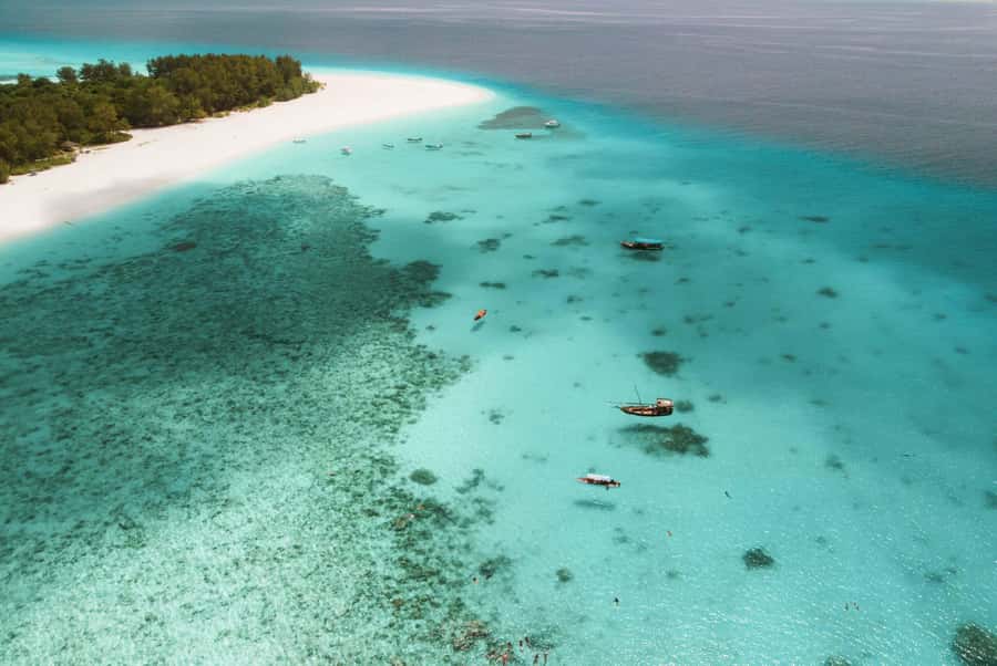 From Zanzibar: Mnemba Boat Tour with Snorkeling & Dolphine - Snorkeling Mnemba Atoll: reefs, fish, turtles, and what you will actually see