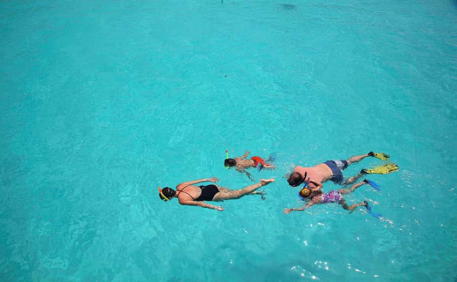 From Zanzibar: Mnemba Boat Tour with Snorkeling & Dolphine - Who this tour fits best, and who should think twice