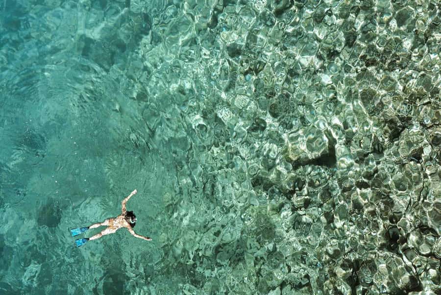 From Zanzibar: Mnemba Boat Tour with Snorkeling & Dolphine - Should you book this Mnemba boat tour with dolphins and snorkeling?