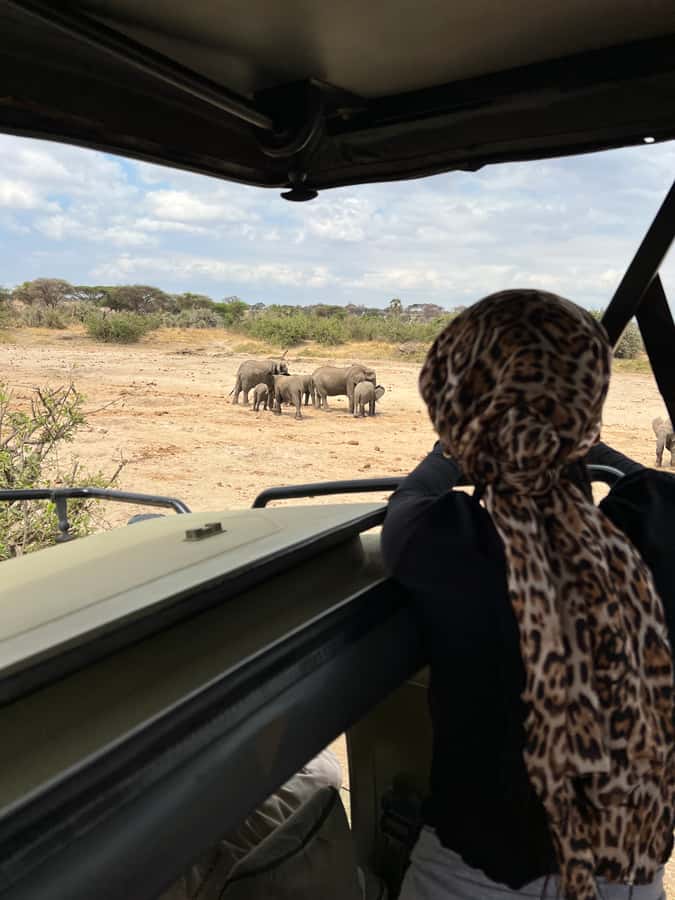 From Zanzibar: Nyerere National Park Game Drive with Lunch - The 8-hour game drive target list you should picture