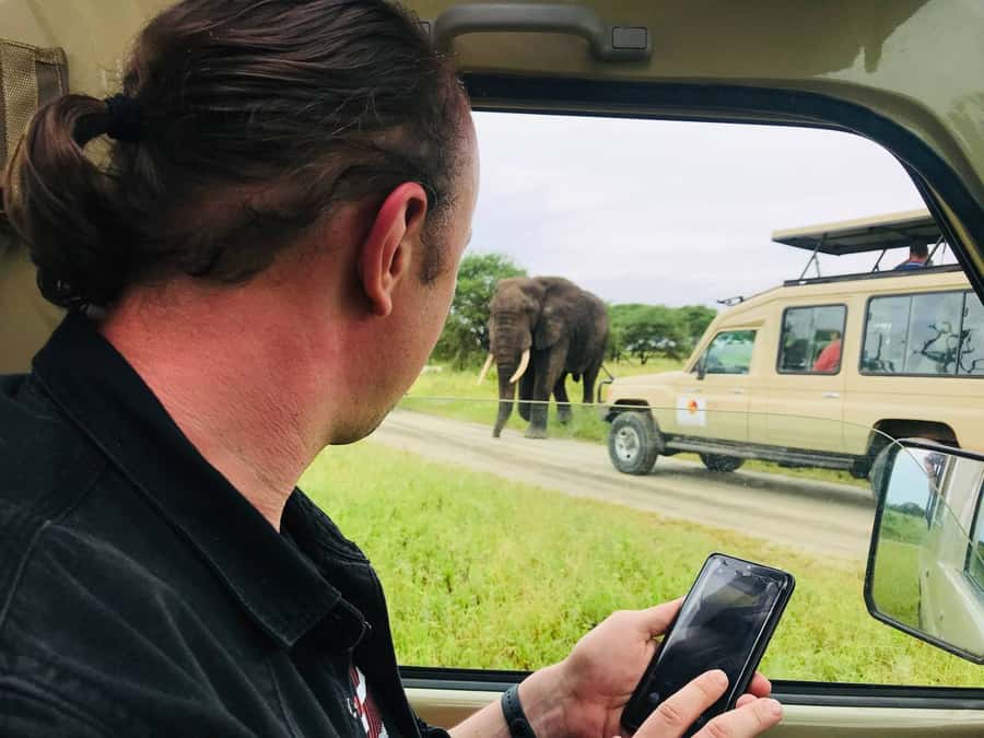 From Zanzibar: Nyerere National Park Game Drive with Lunch - Lunch in the bush: picnic, timing, and the beer bonus