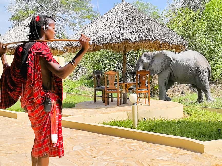 From Zanzibar: Overnight Selous G.R. Safari with Flights - Why This Works So Well for a Quick Safari From Zanzibar