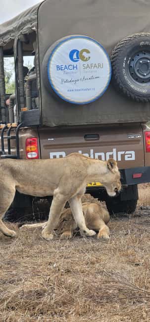 From Zanzibar: Overnight Selous G.R. Safari with Flights - Who Should Book This Safari, and Who Should Skip It