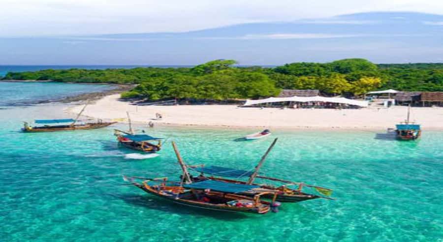 From Zanzibar: Safari Blue Snorkeling Trip with Lunch - Fumba village and the real-world pickup puzzle