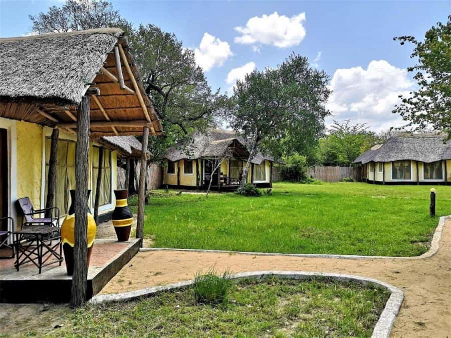From Zanzibar: Selous Game Reserve Full-Day Safari - Your 4x4 open-vehicle game drive: how you get the best sightings