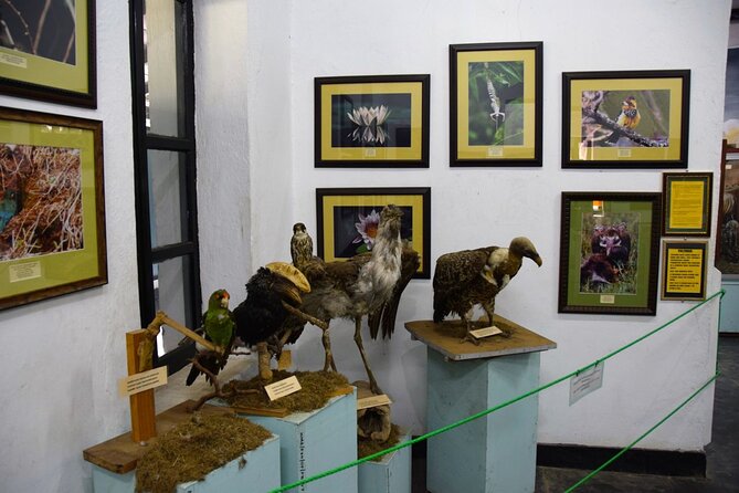 Full Day Arusha City Tour - Maasai Market: Curios, Jewelry, and What to Watch For