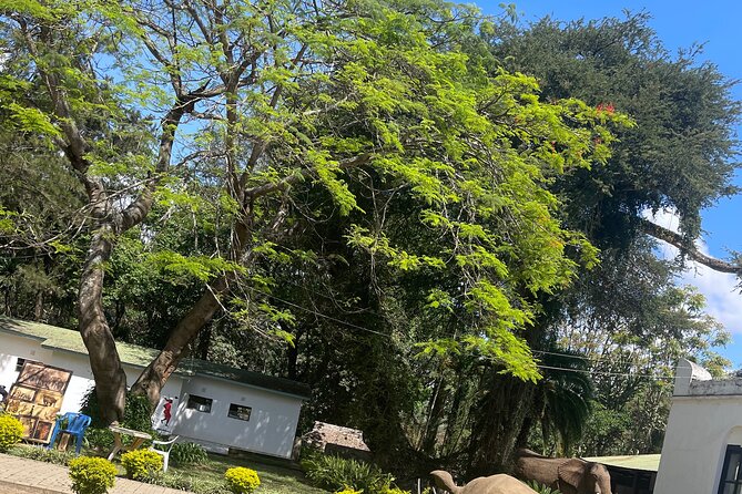 Full Day Arusha City Tour - Tanzanite Experience: Mining, Shaping, and Time to Shop