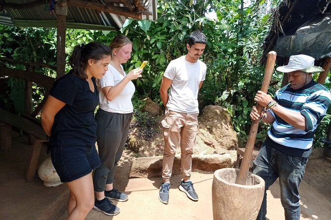 Full Day Materuni Water Falls, Hiking and Coffee Making Tour in Moshi - Quick hits for your Moshi day trip