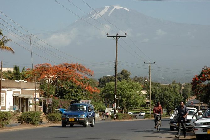 Full-Day Moshi Private Forest Walk and Local Market Tour - Key highlights at a glance