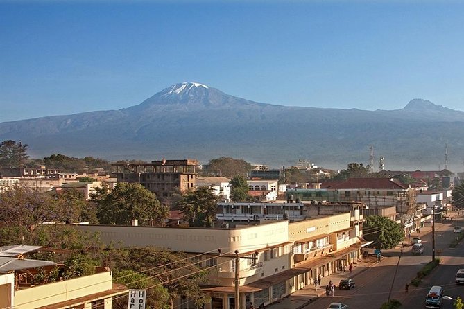 Full-Day Moshi Private Forest Walk and Local Market Tour - A full-day private plan that strings Moshi together well