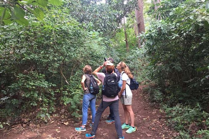 Full-Day Moshi Private Forest Walk and Local Market Tour - Price and value: is $120 per person fair for this mix?