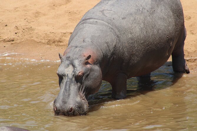 Full-Day Ngorongoro Crater private tour - Price and what you get for $1,080 per person