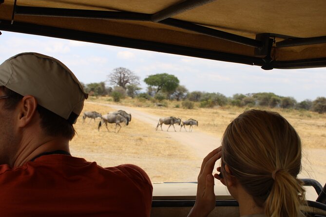 Full-Day Ngorongoro Crater private tour - Entering Ngorongoro: what your crater day feels like