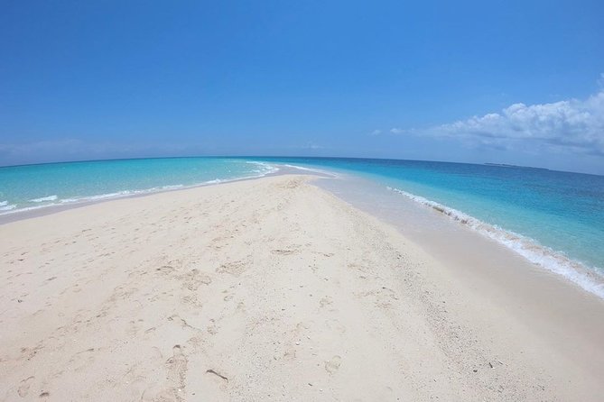 Full-day Prison Island and Nakupenda Sandbank with Lunch buffet - One day from Stone Town: how the tour actually feels