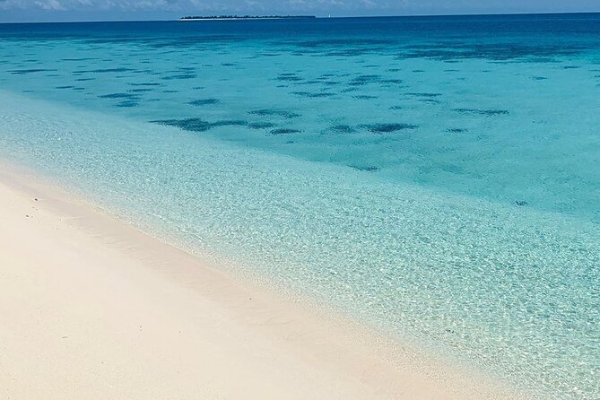 Full-day Prison Island and Nakupenda Sandbank with Lunch buffet - Stone Town pass-by before the boat: what you get without a full day