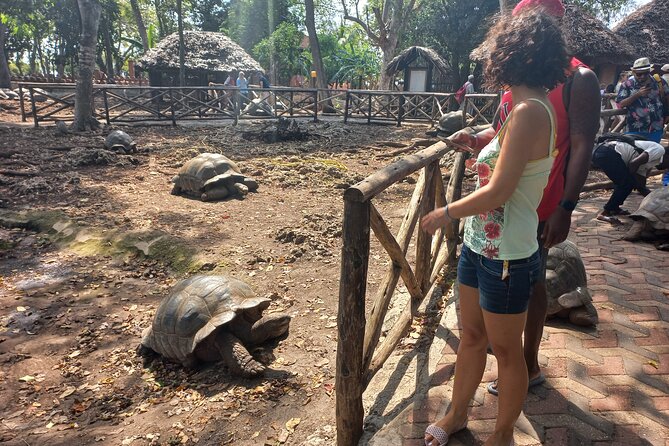 Full-day Prison Island, Nakupenda and Stone Town Tour with Lunch Buffet - Stone Town: Anglican Cathedral, House of Wonders, Old Fort, Hamamni Baths, and Markets