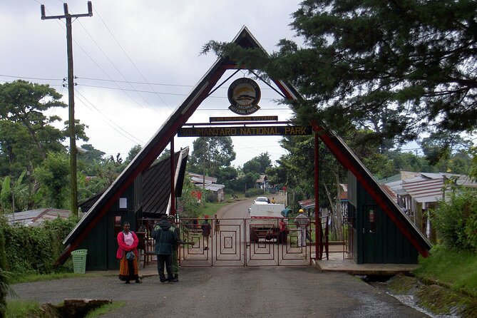 Full Day Private Hiking Tour to Kilimanjaro Mountain - Picnic Lunch at Mandara Hut: Rest That Actually Changes Your Day