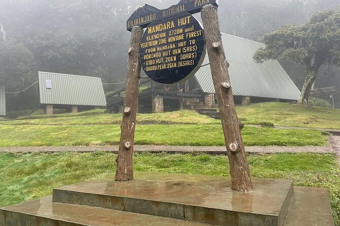Full Day Private Hiking Tour to Kilimanjaro Mountain - Descending Back Toward the Main Gate: Where Fatigue Starts to Talk