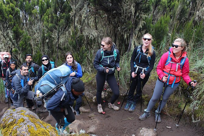 Full Day Private Hiking Tour to Kilimanjaro Mountain - Animals, Views, and Rainforest Feel: The Part You’ll Remember